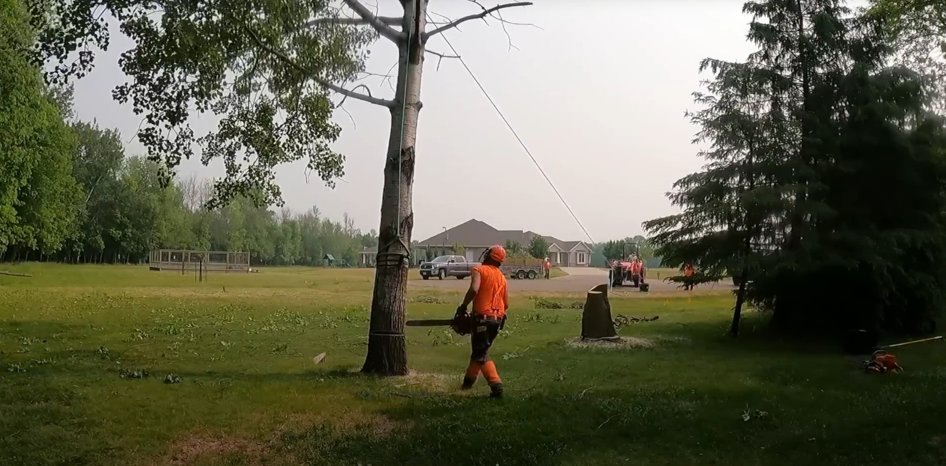 Large Tree Removal and Property Clearing Tree service professional cutting down large tree in open field area