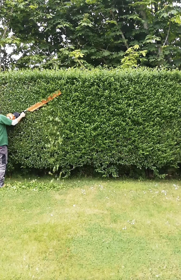 Hedge Trimming and Landscape Maintenance Professional hedge trimming and shrub maintenance services