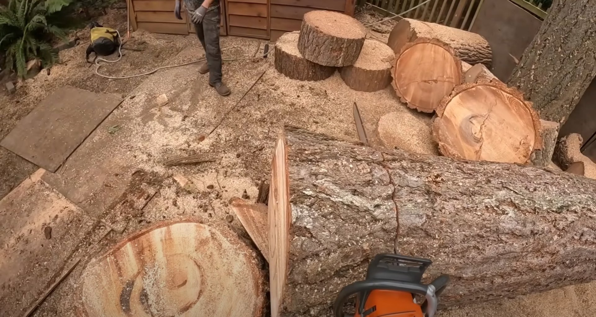Professional Stump Grinding and Removal Services in Utica NY Stump grinding equipment removing tree stumps showing wood chips and cleared landscape area