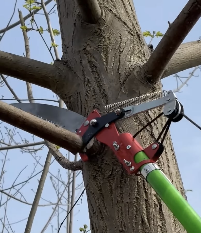 Precision Tree Pruning and Branch Removal Pole saw equipment for precise branch cutting and tree maintenance